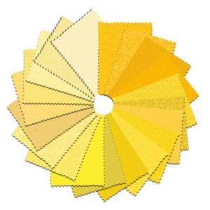 2.5 inch Strips